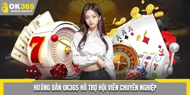 Hướng dẫn Ok365 hỗ trợ hội viên chuyên nghiệp